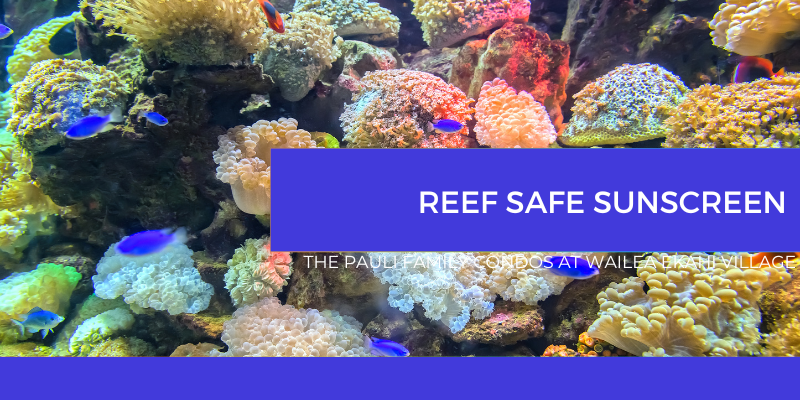 Reef Safe Sunscreen