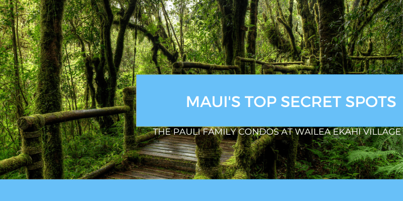 Maui Secret Spots