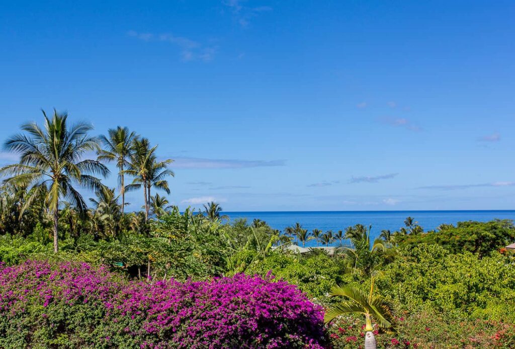 Resort Gallery Wailea Ekahi Village Maui, HI