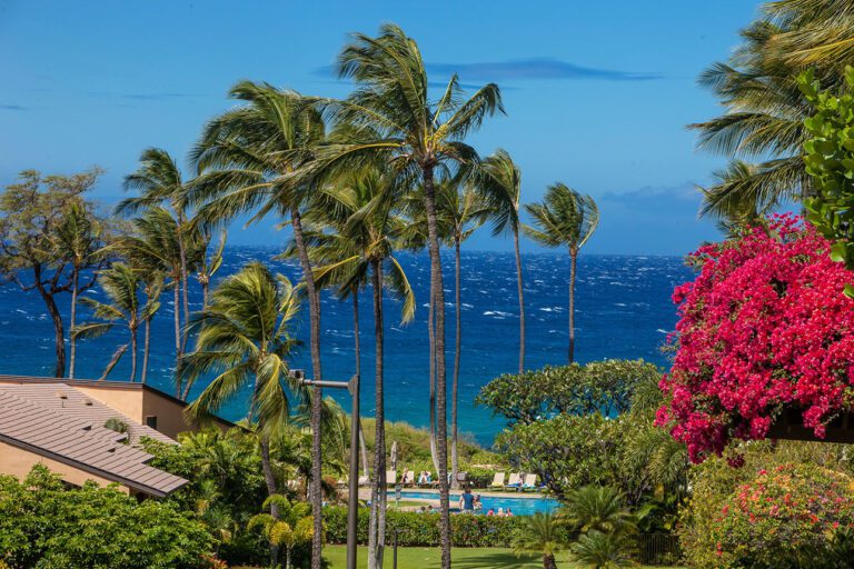 Resort Gallery - Wailea Ekahi Village - Maui, HI