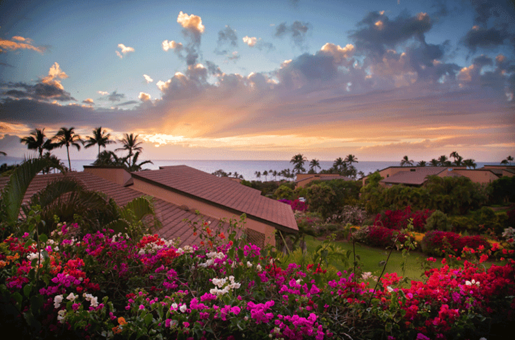 Wailea Ekahi 33c Ocean View Condo - 500 Feet from the Beach! - Wailea -  2024 Prices