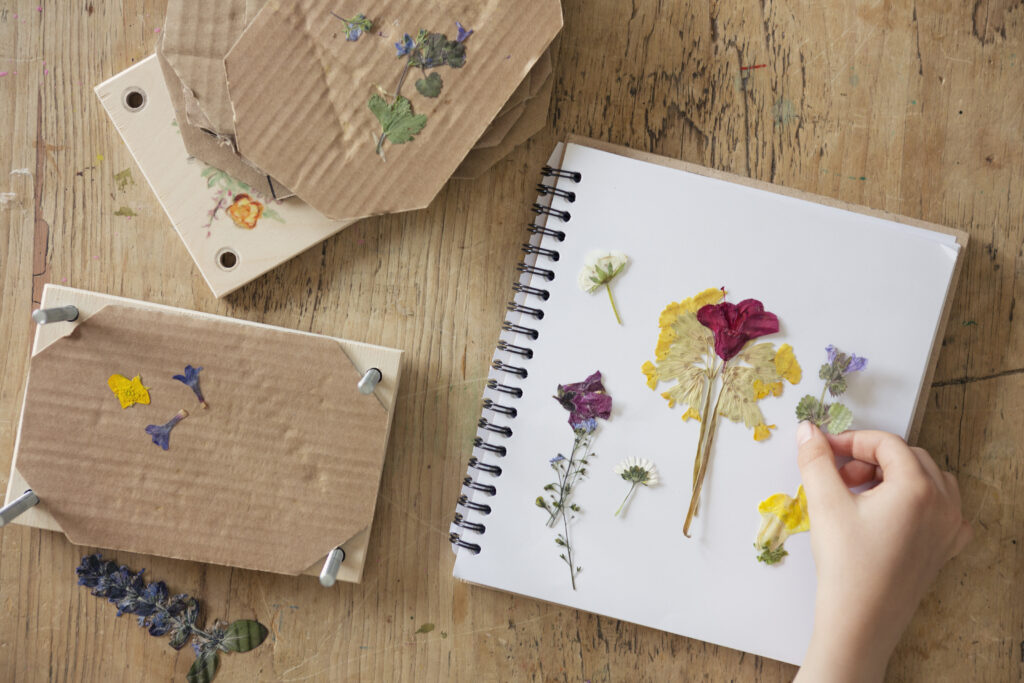 Pressed flowers on a blank journal page.