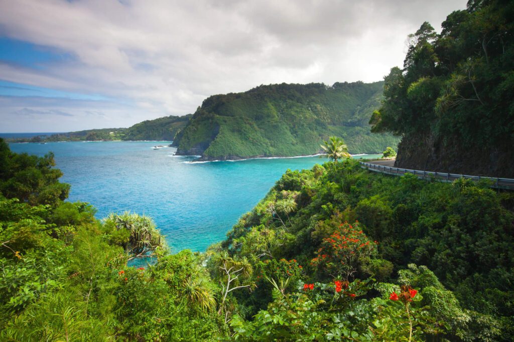 View of water and greenery along Road to Hana, Wailea, Maui, Hawaii