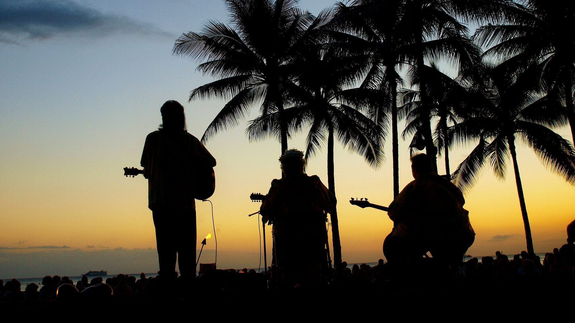 Hawaiian music band plays instruments under the palm trees at sunset