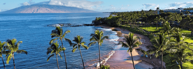 View of Maui beach, palm trees, and resort in the background