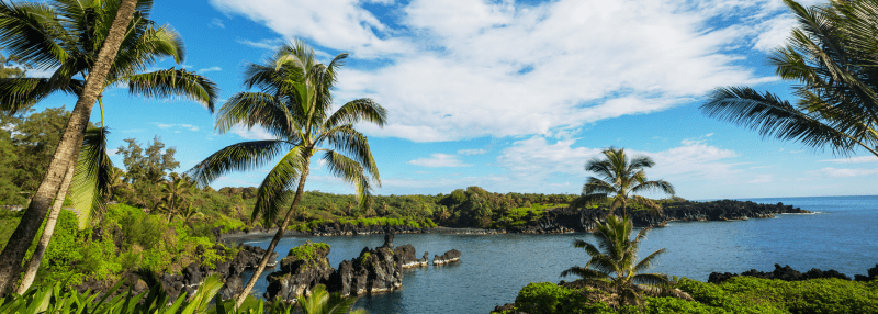 Landscape view of Maui greenery and water