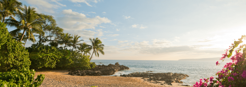 Beautiful view of Hawaii