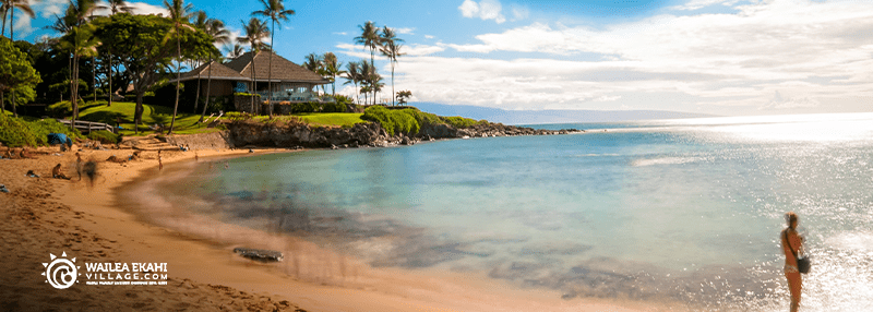 Maui beach with person on it